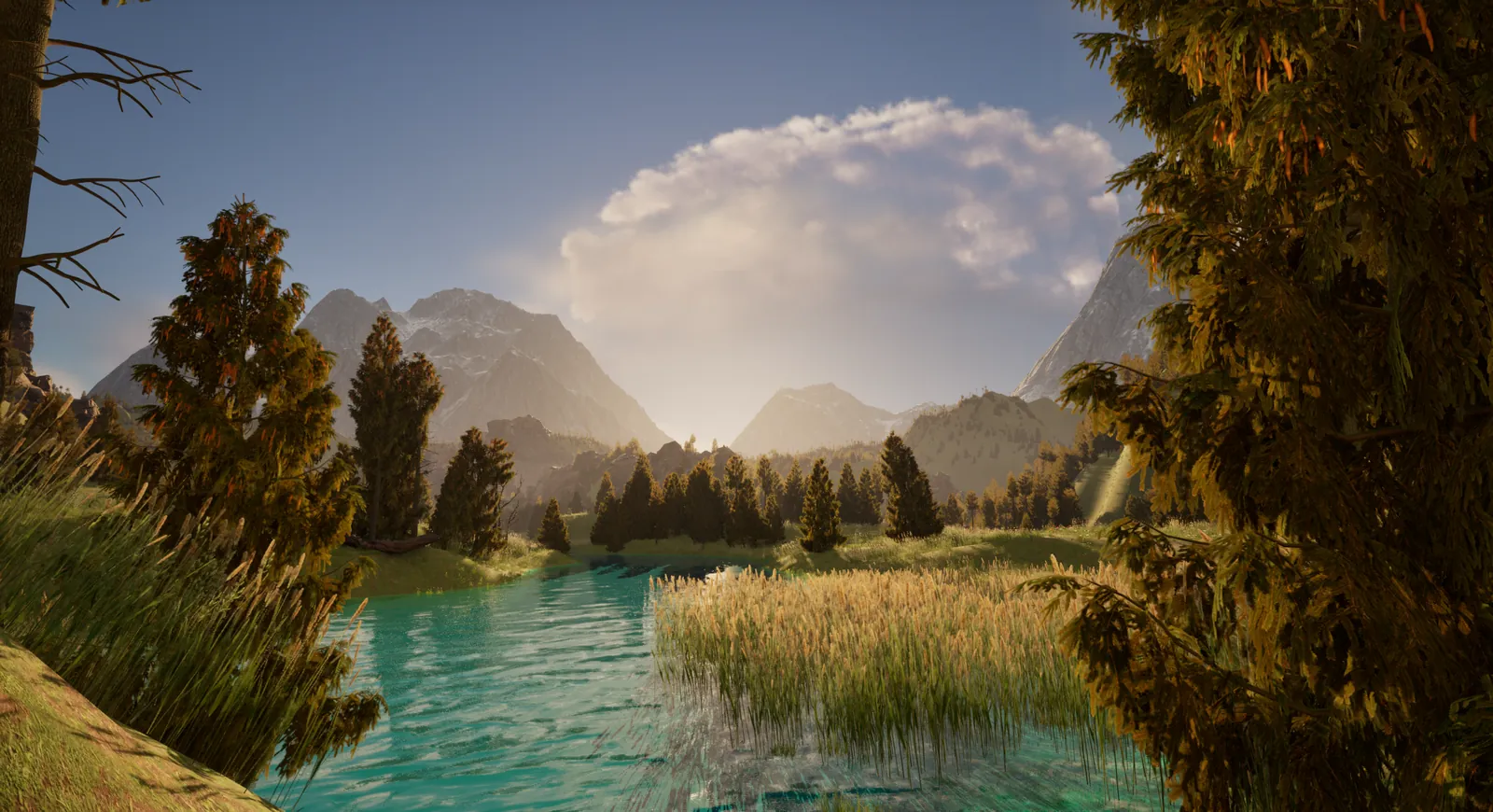 Riverside grass