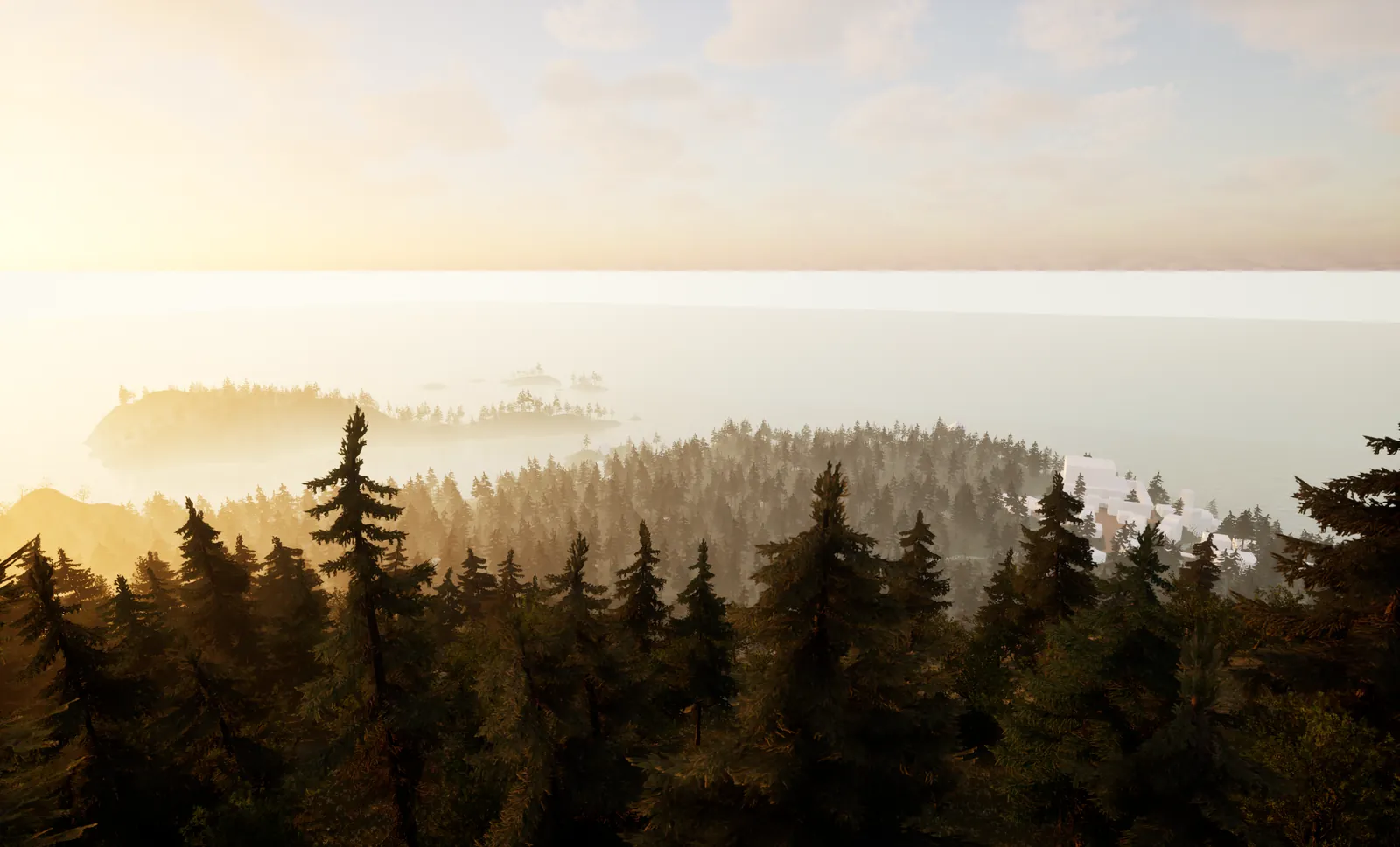 PCG forest