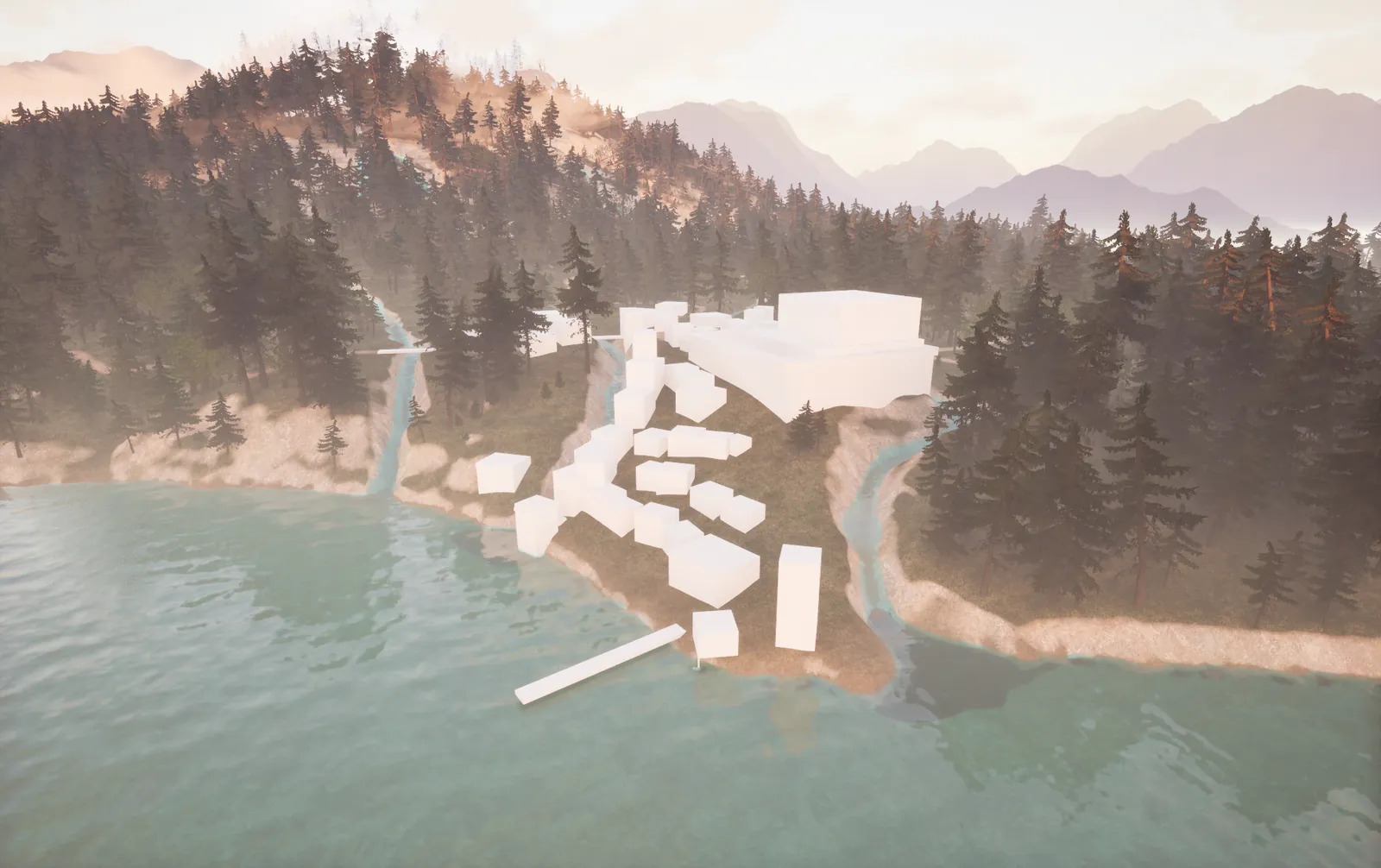 Town and forest