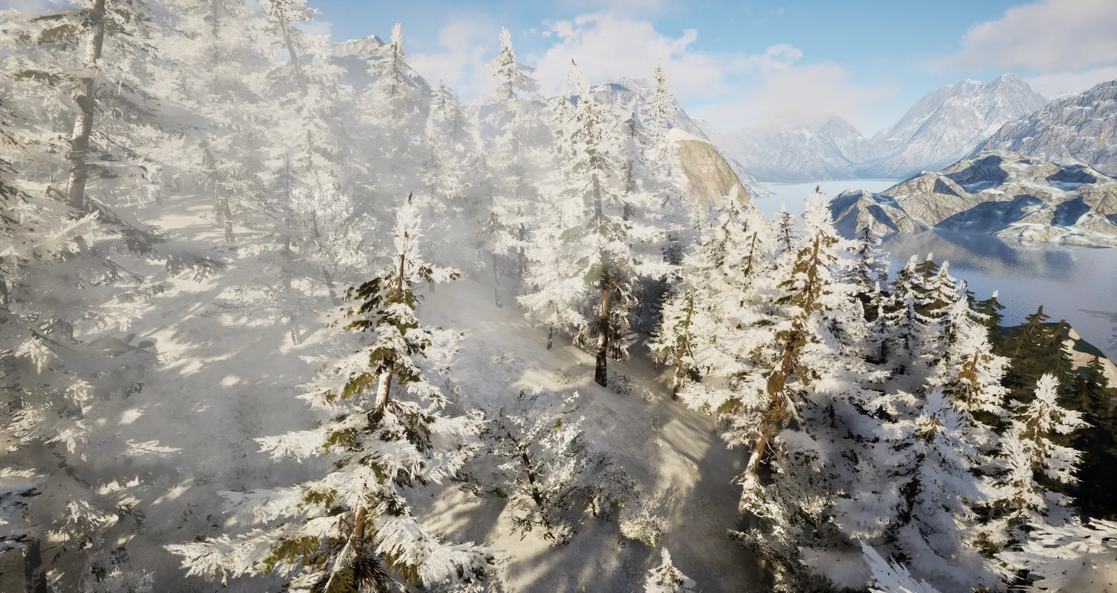 Mountain snow